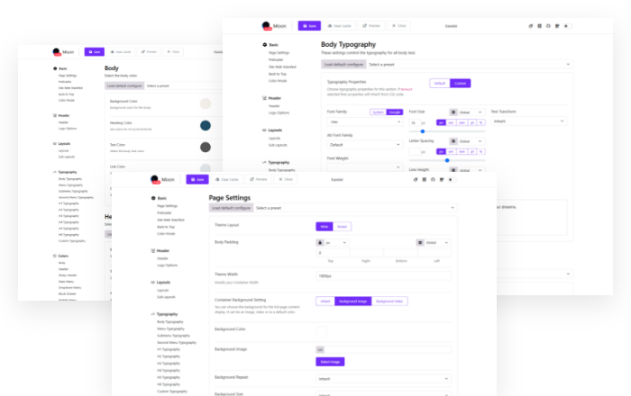Flexible <em>theme options</em> panel to control your website